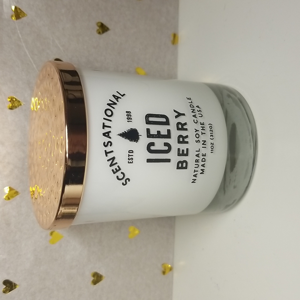 Brand New Scentsational Iced Berry Candle